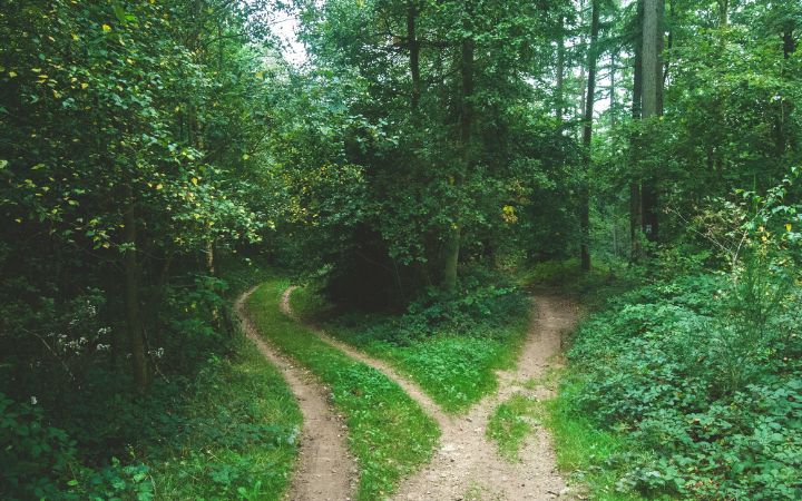 Kako donositi bolje odluke